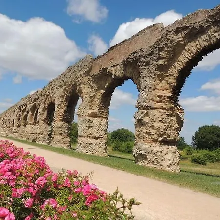 L'annexe Des Iris Chaponost